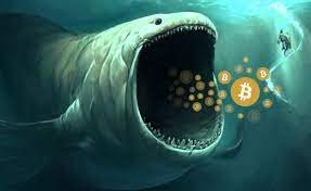 Balenele Bitcoin: Ce sunt și cum să le depistați?
