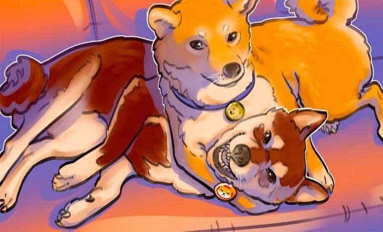 Dogecoin vs. Shiba Inu: Care sunt diferențele?